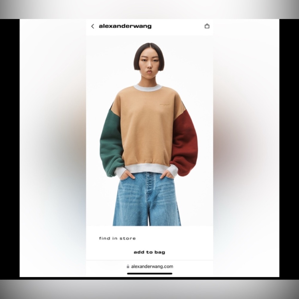 Alexander Wang colorblock crewneck pullover in terry